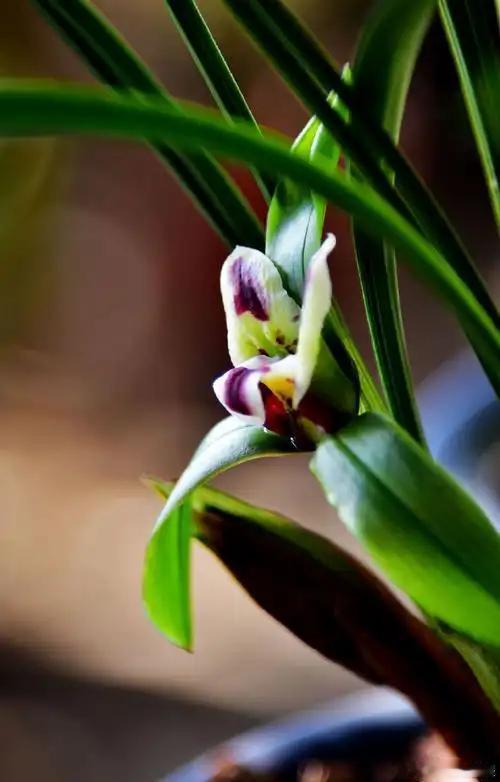 致我的2026

一觉醒来
感觉哪哪都变了
夜是新的
灯光是新的
空气也是新的