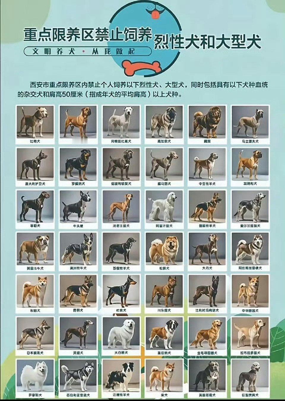 中华田园犬 禁养 是不是最终名单？？？快辟谣啊！！！ ​​​