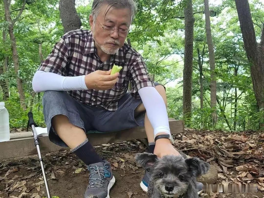 看照片中这老头，让人很难把他和韩国退休总统联系起来。
山野田园的生活看起来非常惬