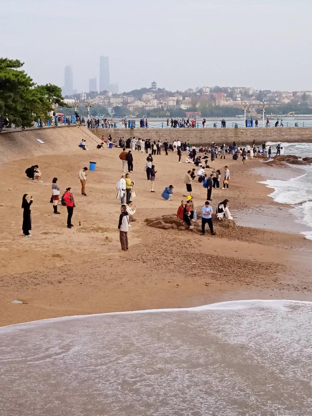 看海鸥去海边，赏菊展到公园

虽到晚秋了，但在青岛栈桥回澜阁的周围海边，已来了先