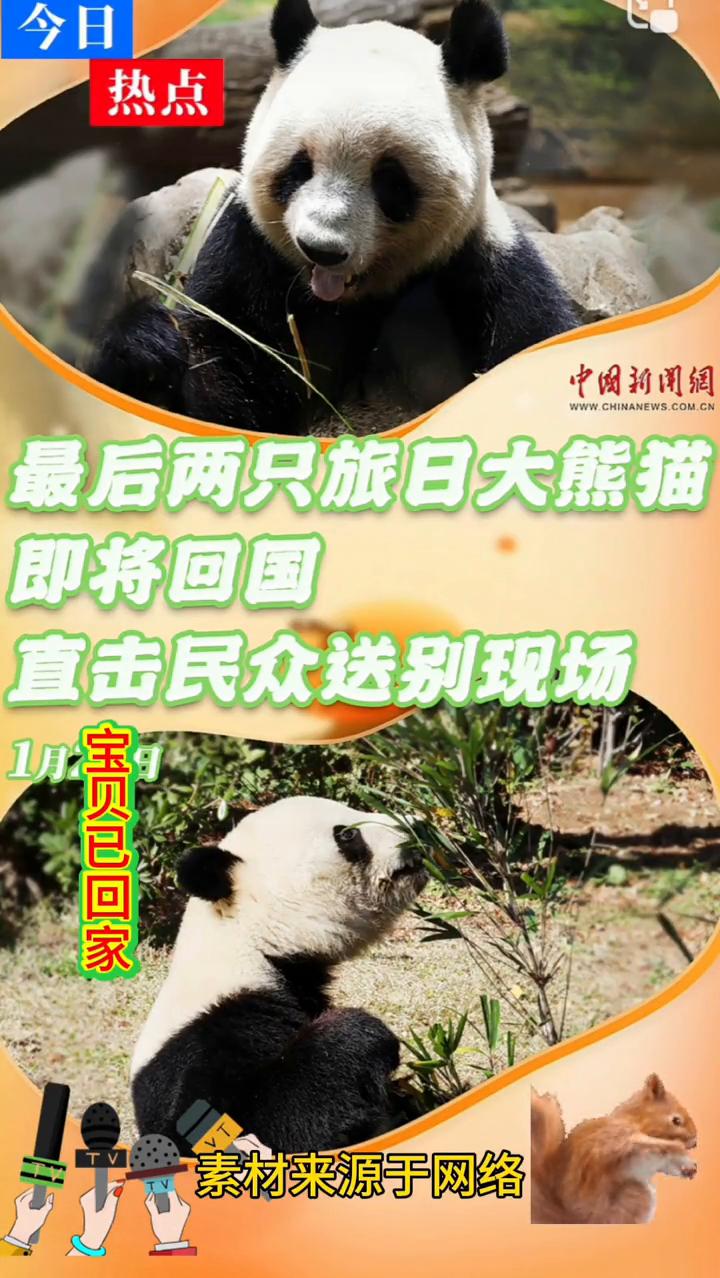 最后两只旅日大熊猫即将回国，直击民众送别现场。
1月25日，素材来源于网络。