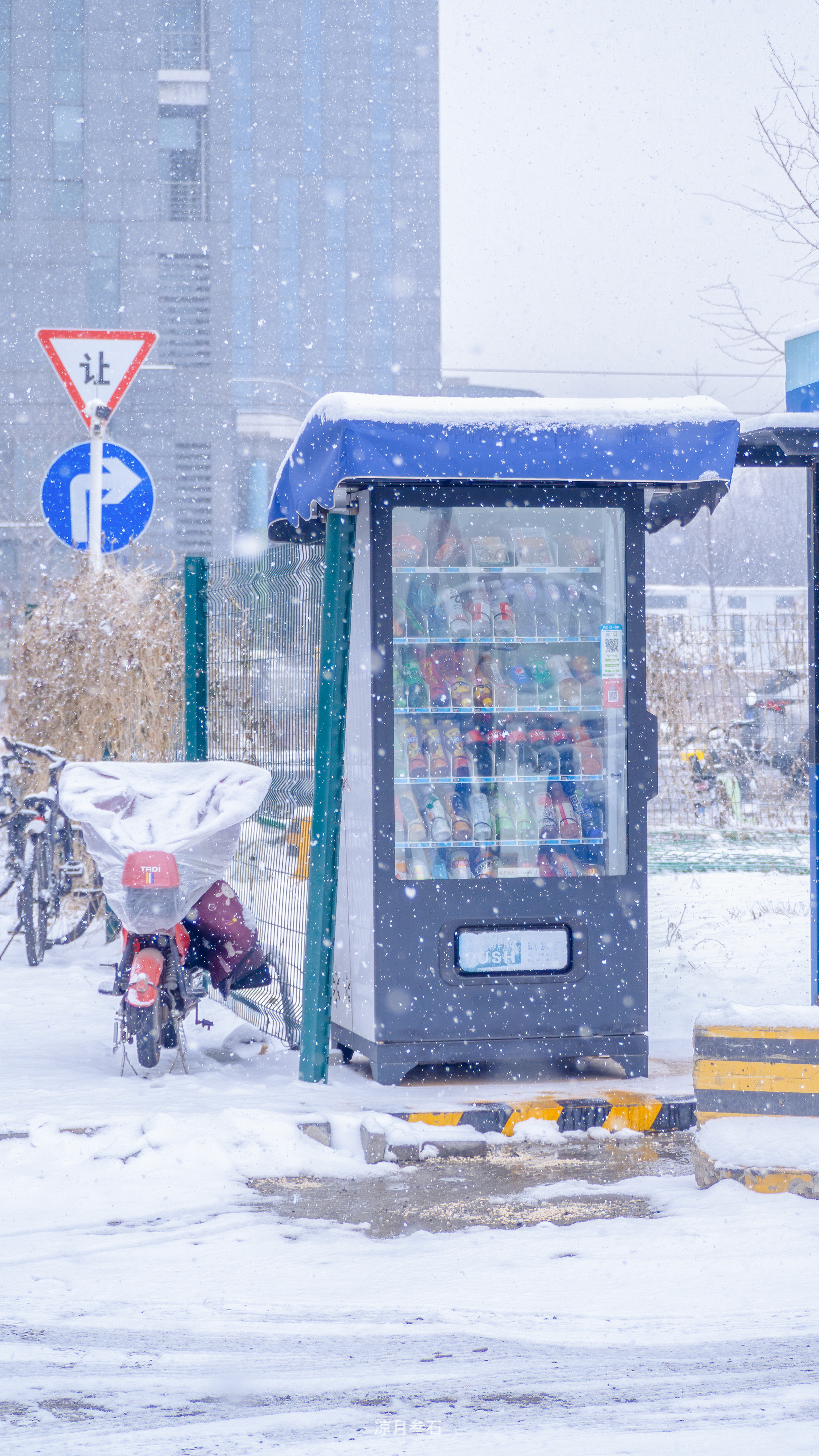 #摄影[超话]#在纷飞的大雪里丨储存的瞬间❄️#北京下雪# 丨#摄影v计划# 丨