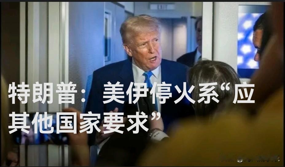 特朗普：美伊停火系“应其他国家要求”

   据外媒报道美国总统特朗普15日在总