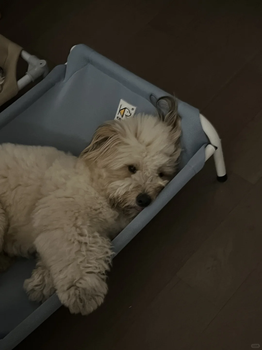 妈妈 不去上班行不行