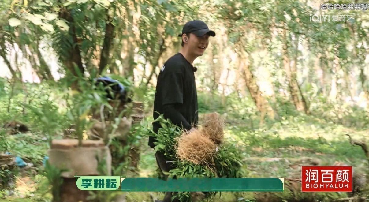 十个勤天不允许任何一个人减肥种地吧 种地吧名场面再添一员，陈少熙减肥大计遭遇李耕
