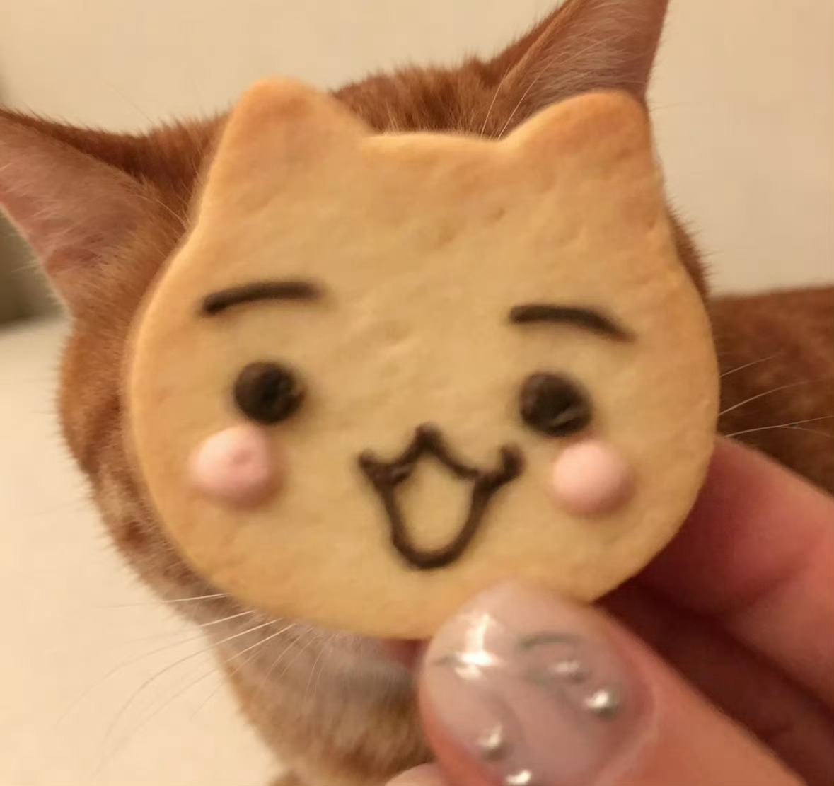 如果李柱延去开书咖 感觉店里搭配咖啡☕️一起食用的小饼干🍪会长这样 