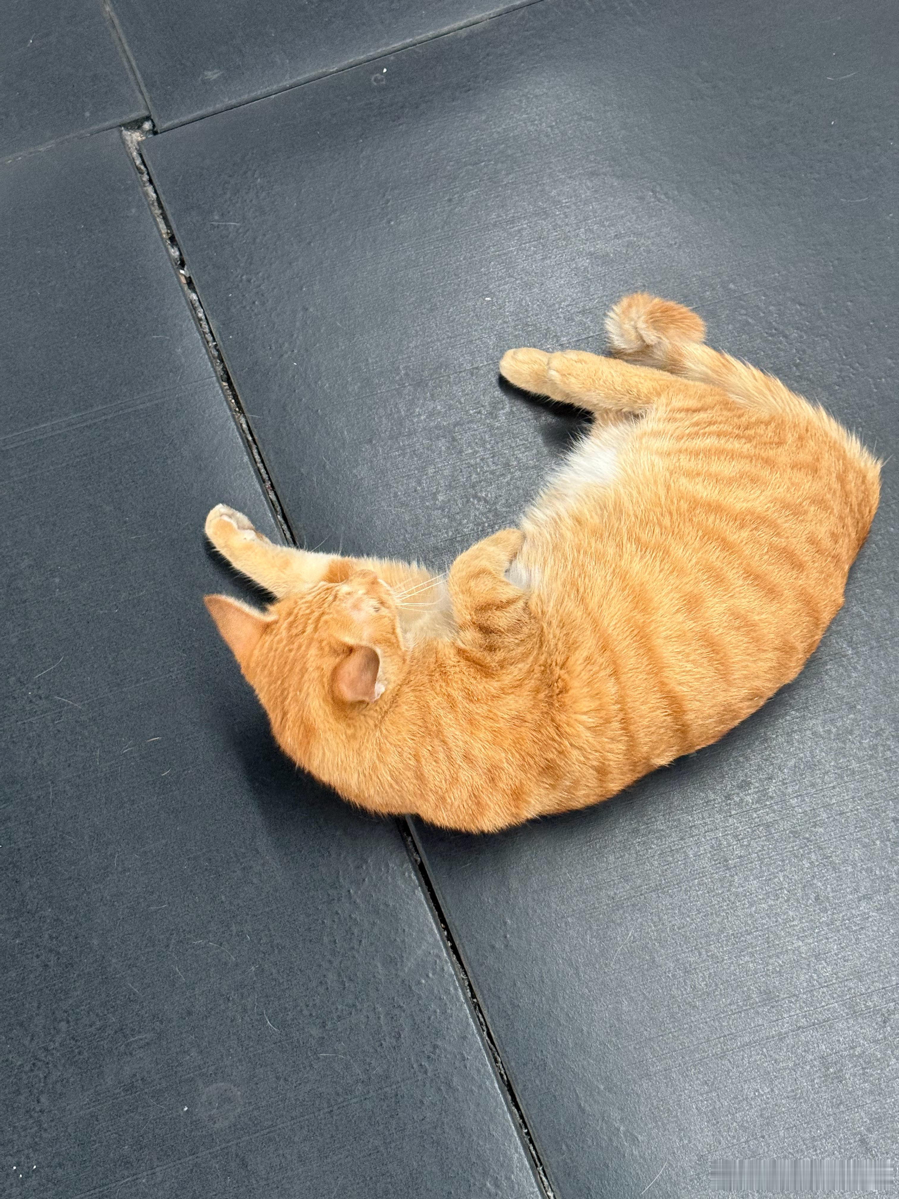 健身房巡场教练 ​​​