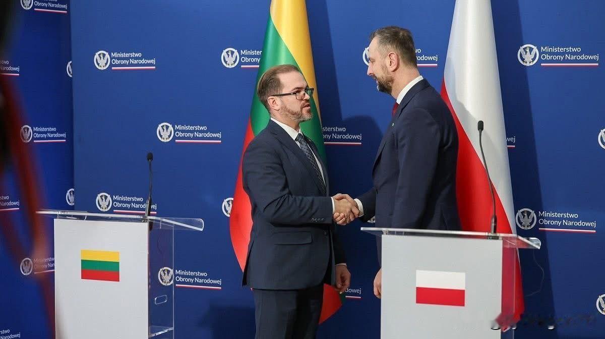 🇱🇹🇵🇱 立陶宛和波兰将在苏瓦乌基山口建立联合军事训练场

立陶宛国防部