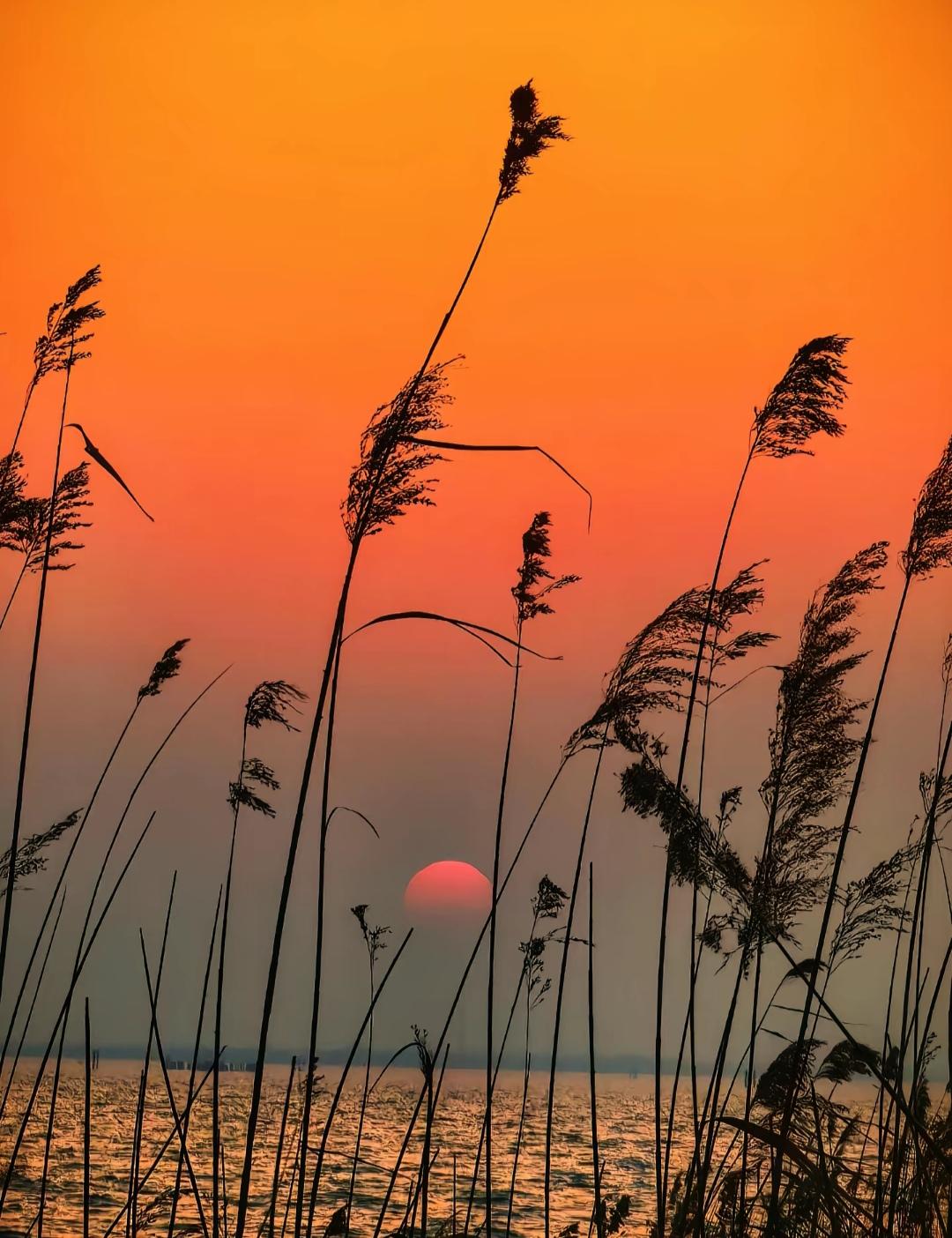 分享你的随手拍