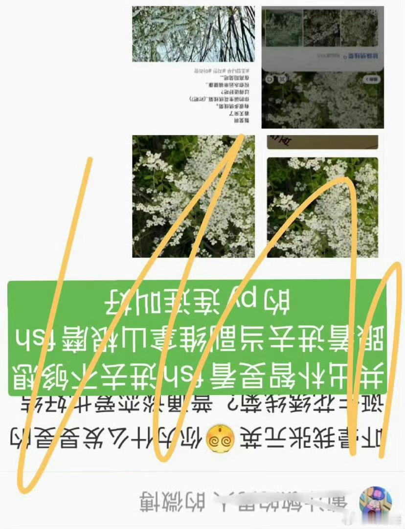 朴智旻唯爱宋多恩是真的 
