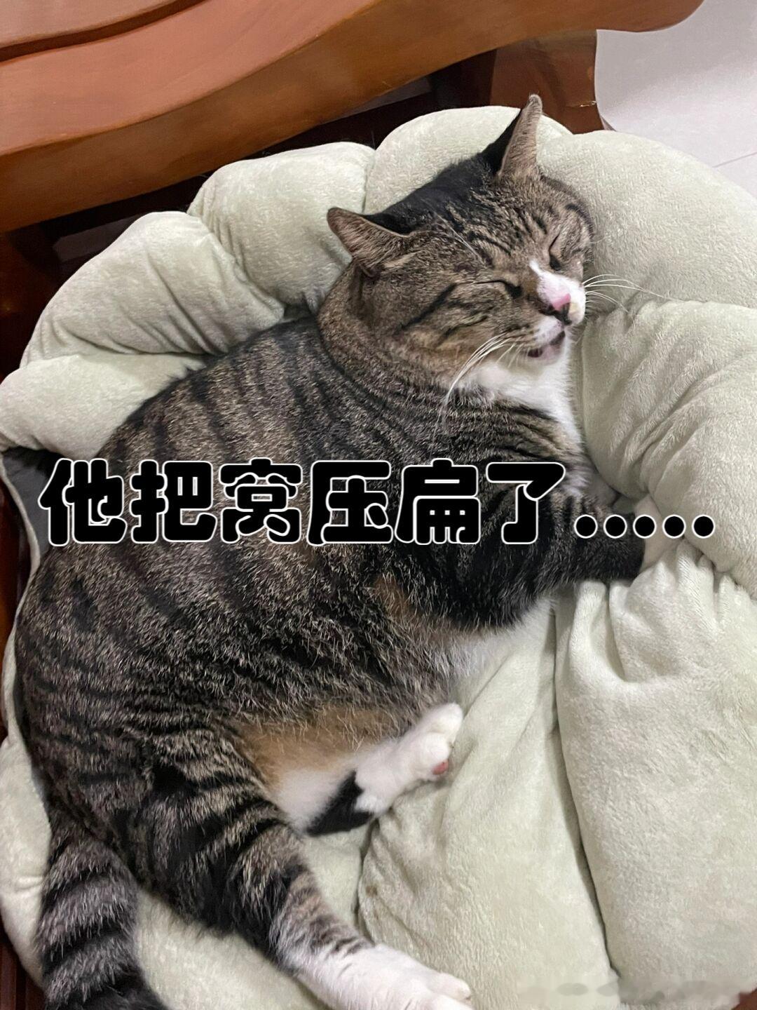 妈妈让儿子穿中老年装带火21年老店女店主用儿子打窝，一群鱼来围观，最后没几条咬钩