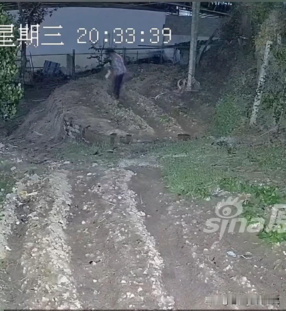 嫉妒别人有块小的菜地，邻居夜里偷偷在菜地“加料”。
海南，平时关系很好，很和谐的