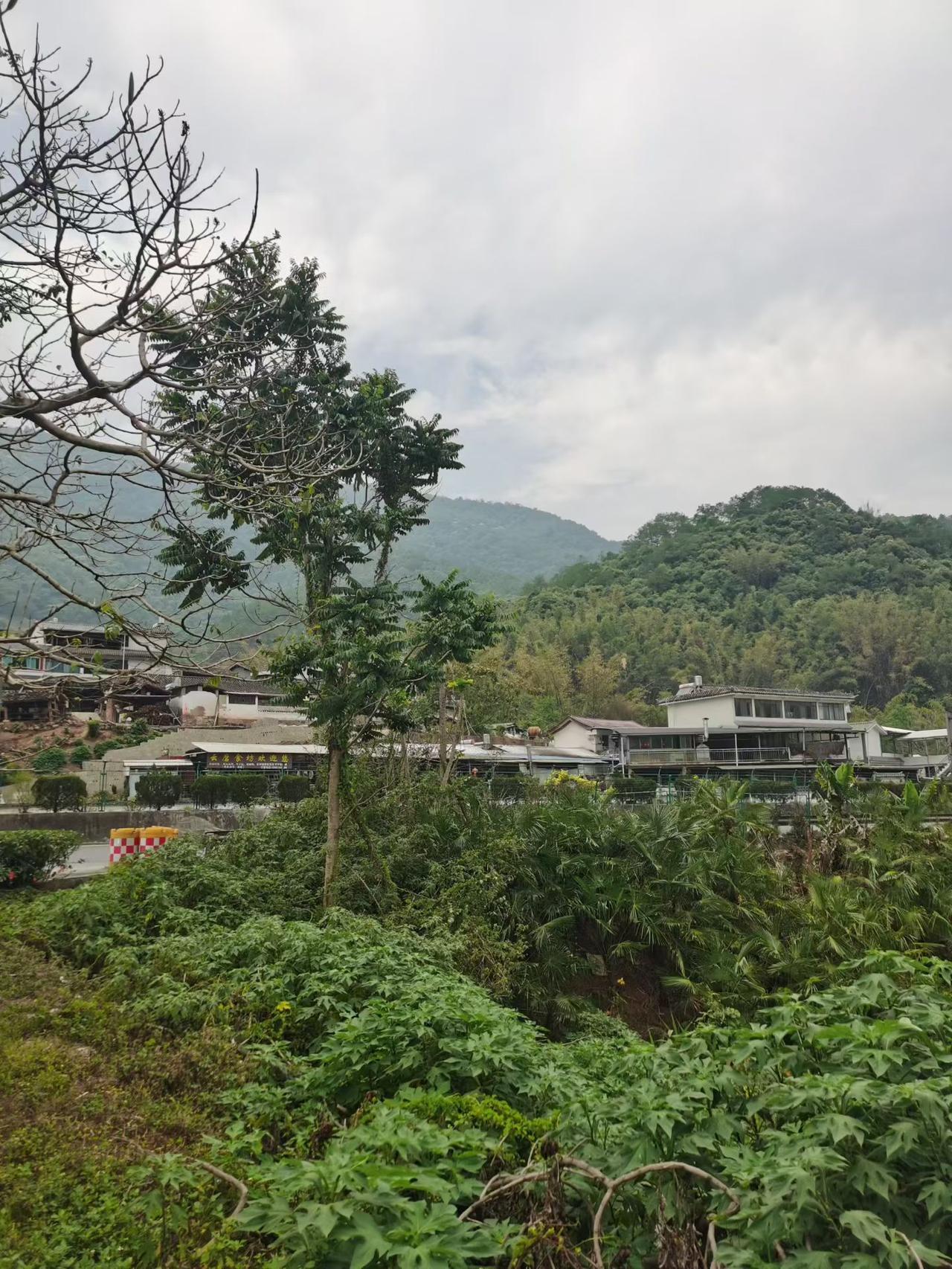 普洱，一座被茶香浸透的城市......