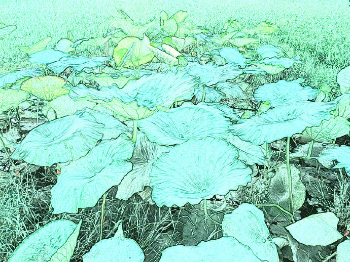愿能做到，也是人生赢家，“6点30起，11点30睡；每天至少翻5页书，跑30分钟