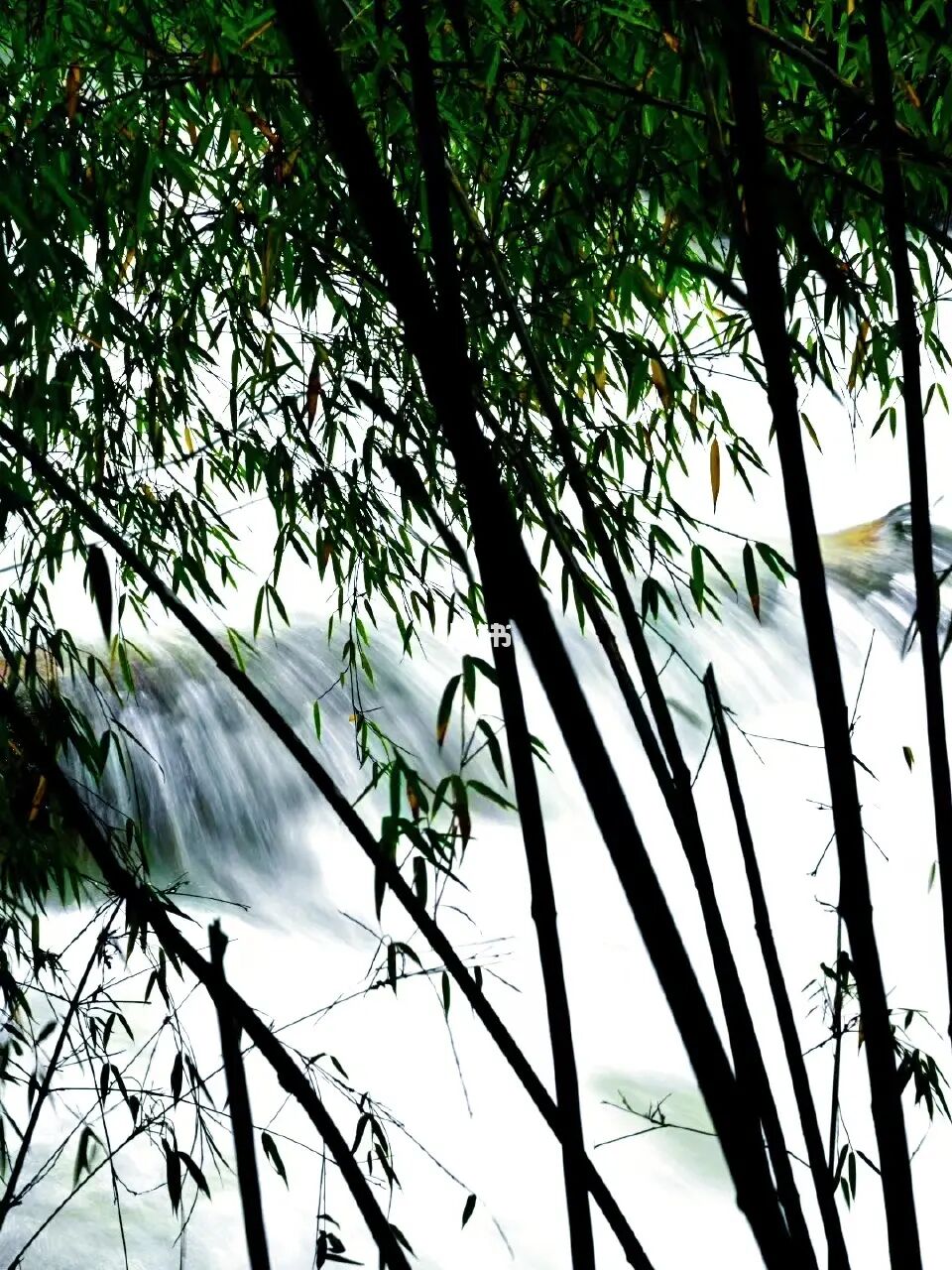 邓生沟｜开启一段动物森林奇遇记