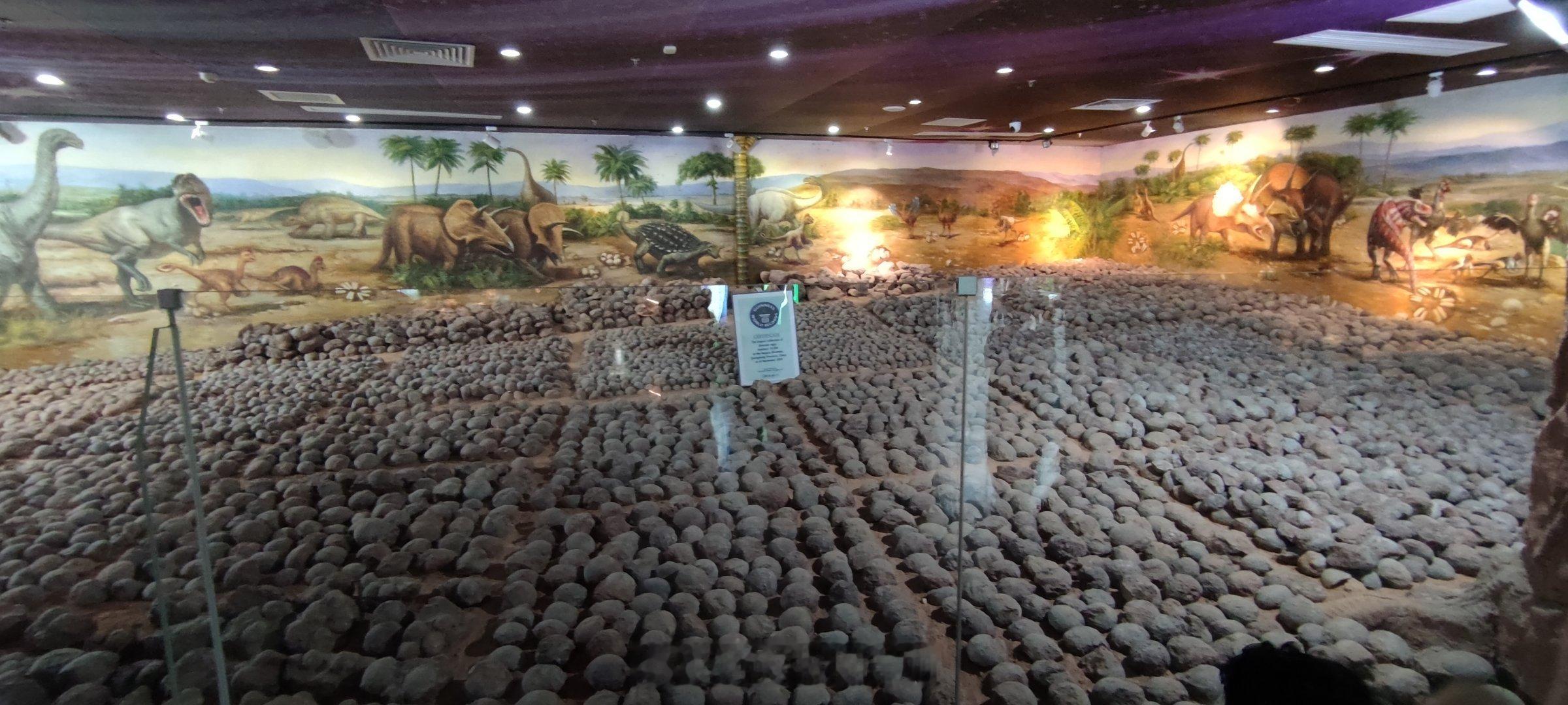河源恐龙博物馆，两万多恐龙蛋还是很震撼的。河源吉尼斯世界纪录河源恐龙博物馆 河源