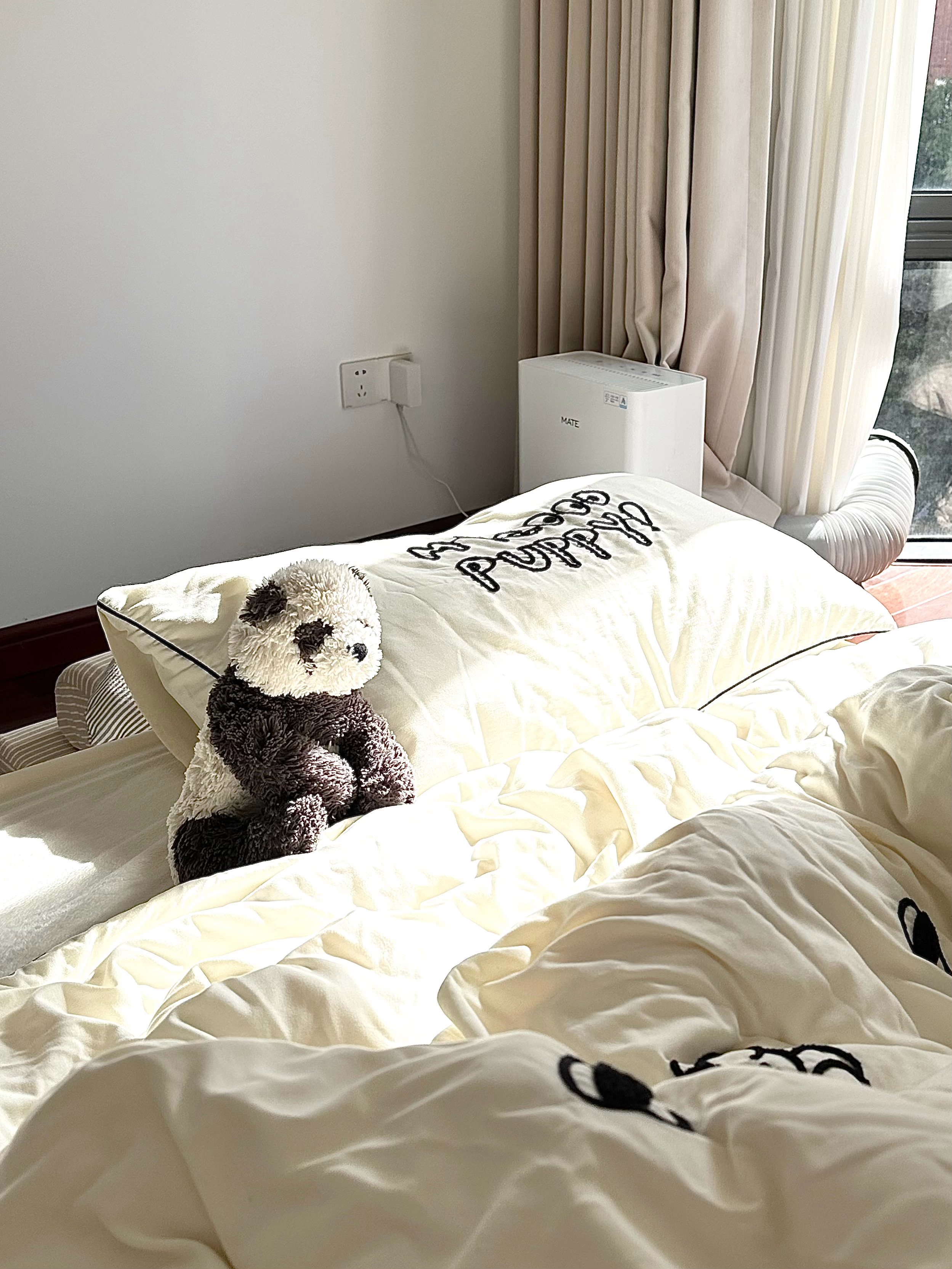 中午在暖暖的阳光里休憩感觉整个人被柔软的包裹住幸福和满足环绕着自己很舒服很治愈 