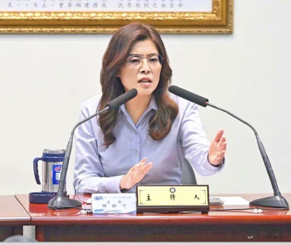民进党头号忌惮蓝营大咖是她！看透绿营套路，一语戳破“台独”致命短板
 
岛内选举