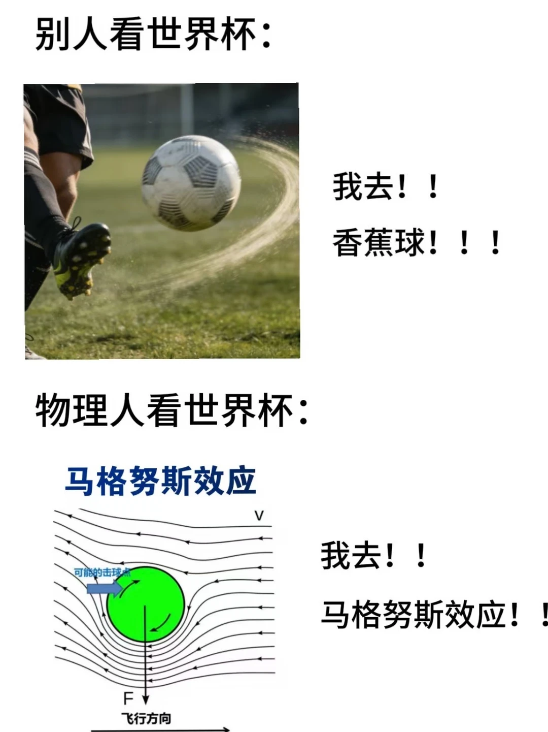 物理人眼中的世界杯be like