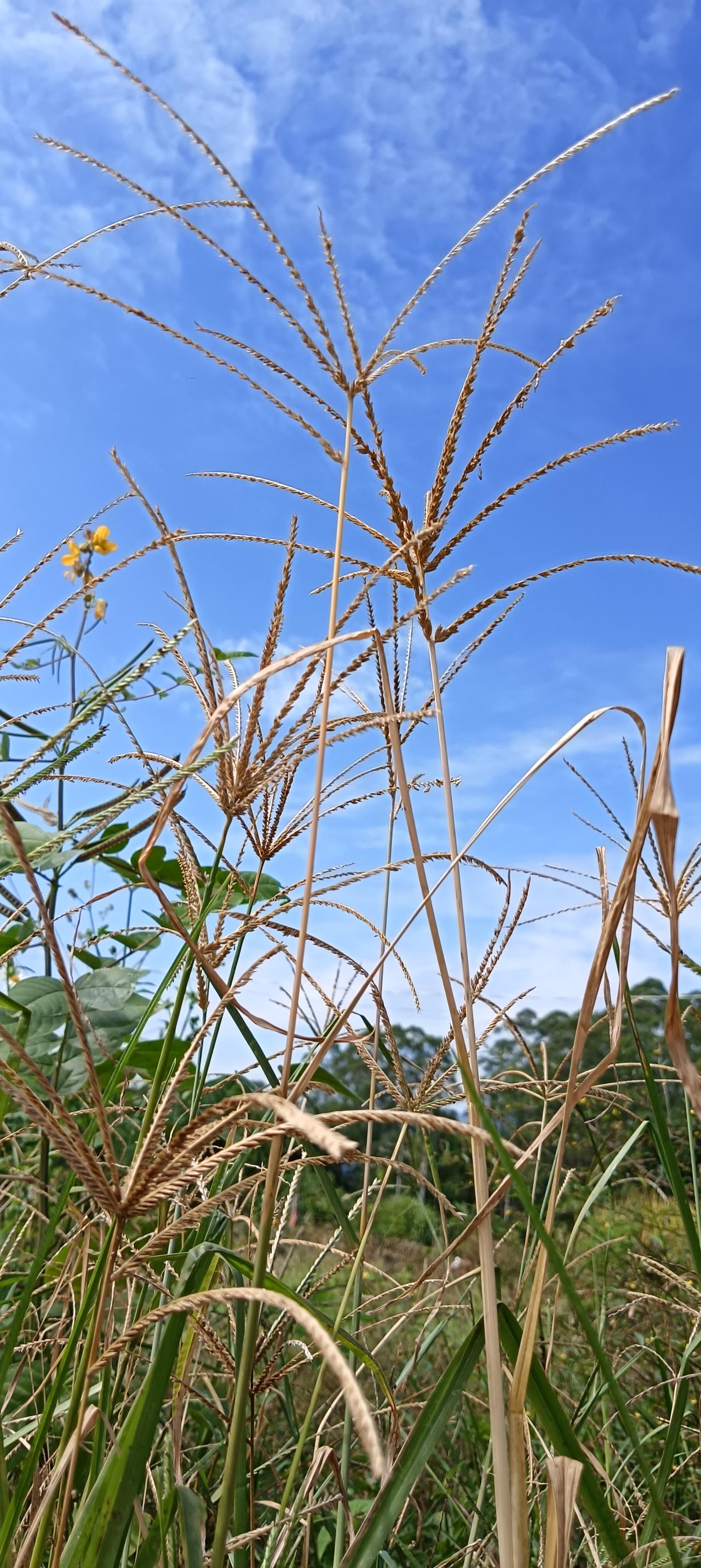 今天是周二，早晨的温度18度，山区可能会更冷些。秋天的天气很突然，温差特别大，说