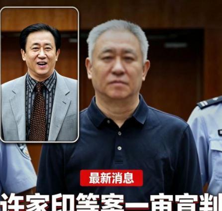 许家印一审宣判才刚过24小时，无期徒刑，全部财产没收，两个儿子一个都没跑掉全被判