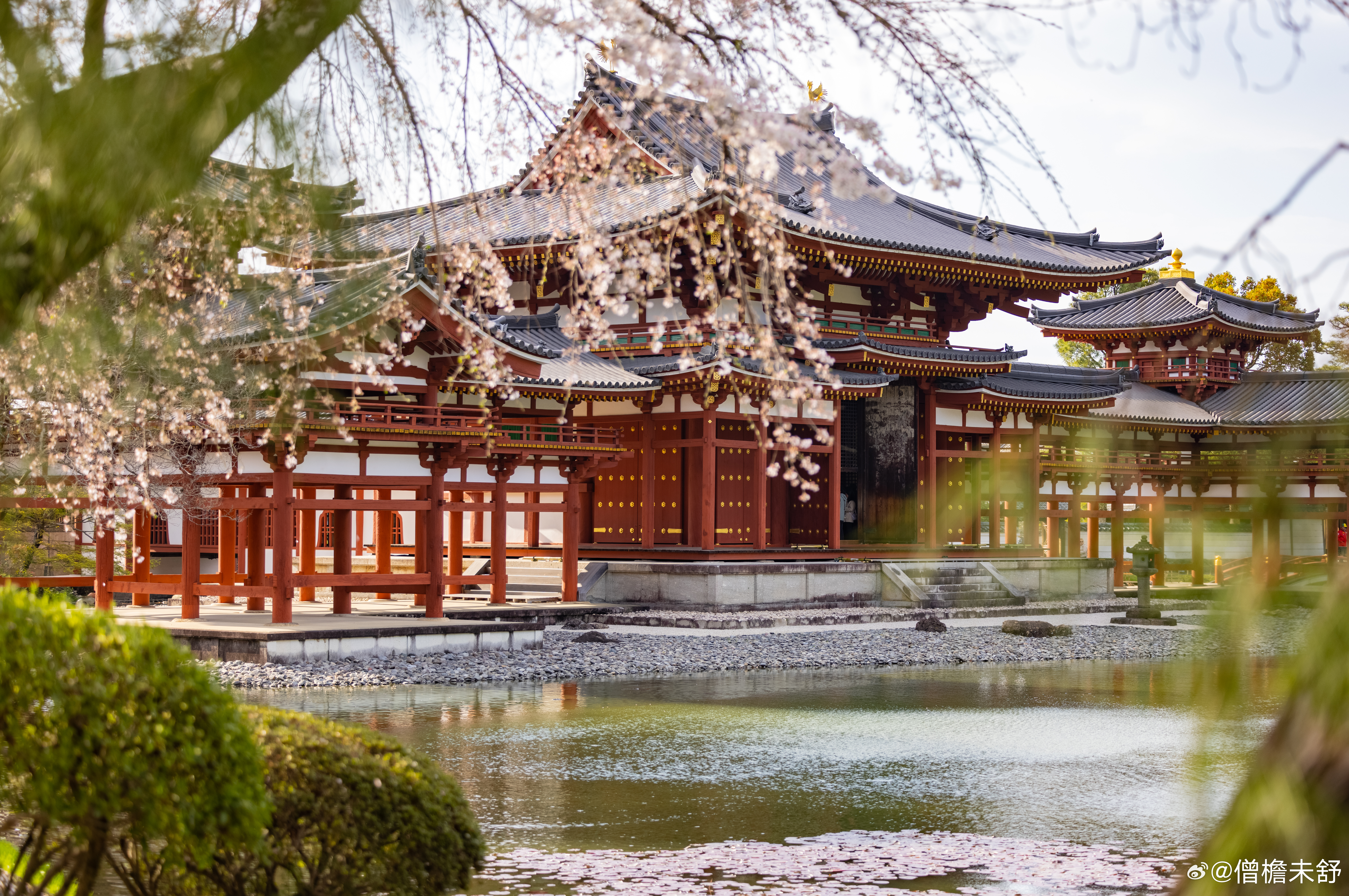 平等院观音堂整修工程进行中 