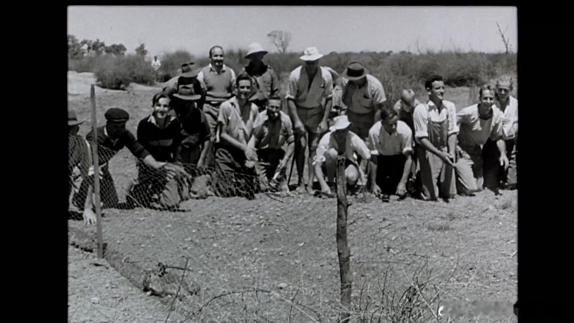 新闻线上 Newsfront (1978)澳大利亚影史十五佳，讲述了一群勇敢的电