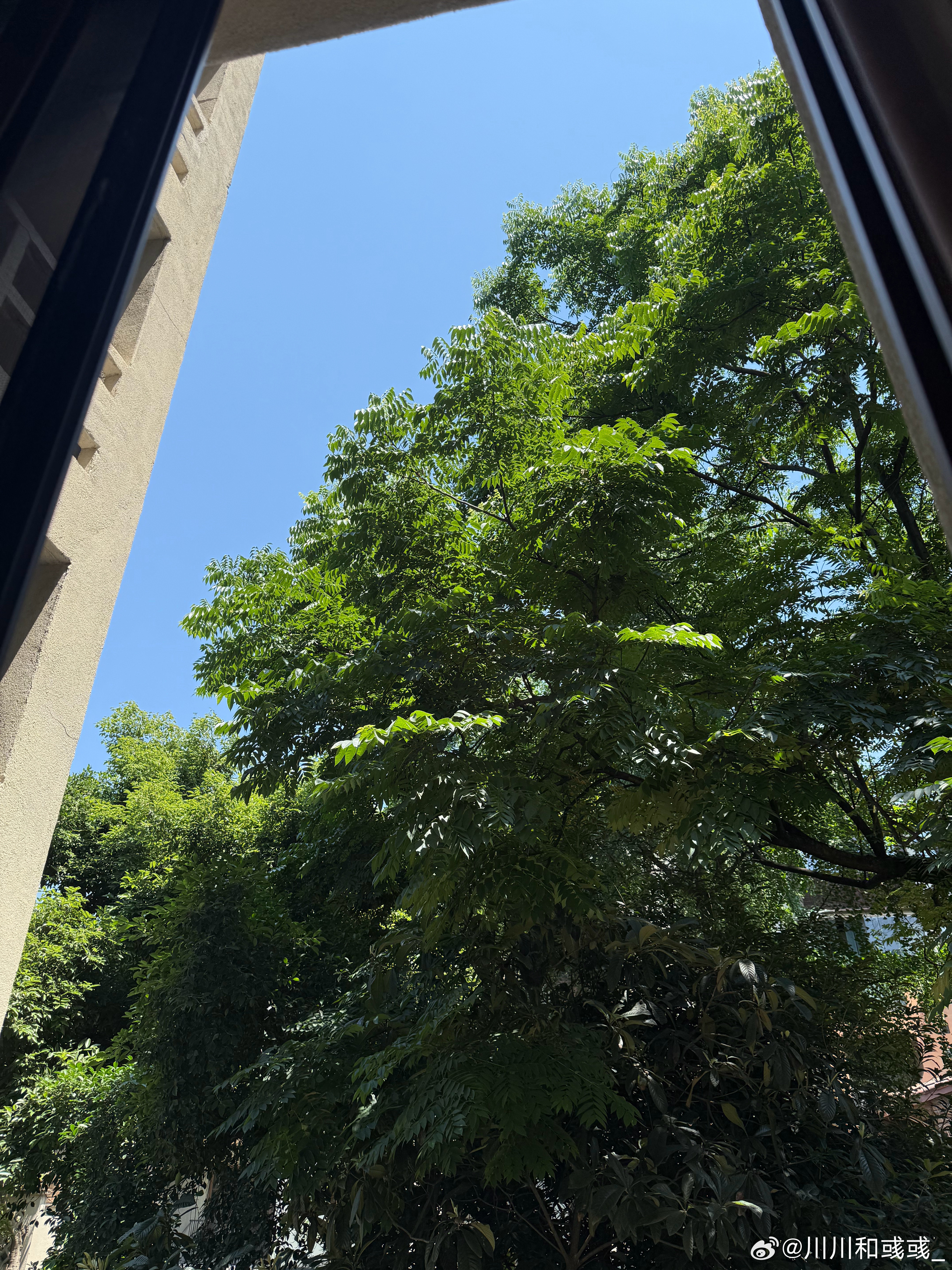 重庆这天气，大家暑假真别来，要遭中暑，我觉得重庆是时候搞点室内项目了[允悲] ​