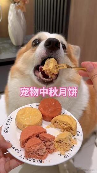 宠物也过中秋？宠物月饼给毛孩子们的中秋仪式感！

中秋的团圆饭桌上，现在早就不止