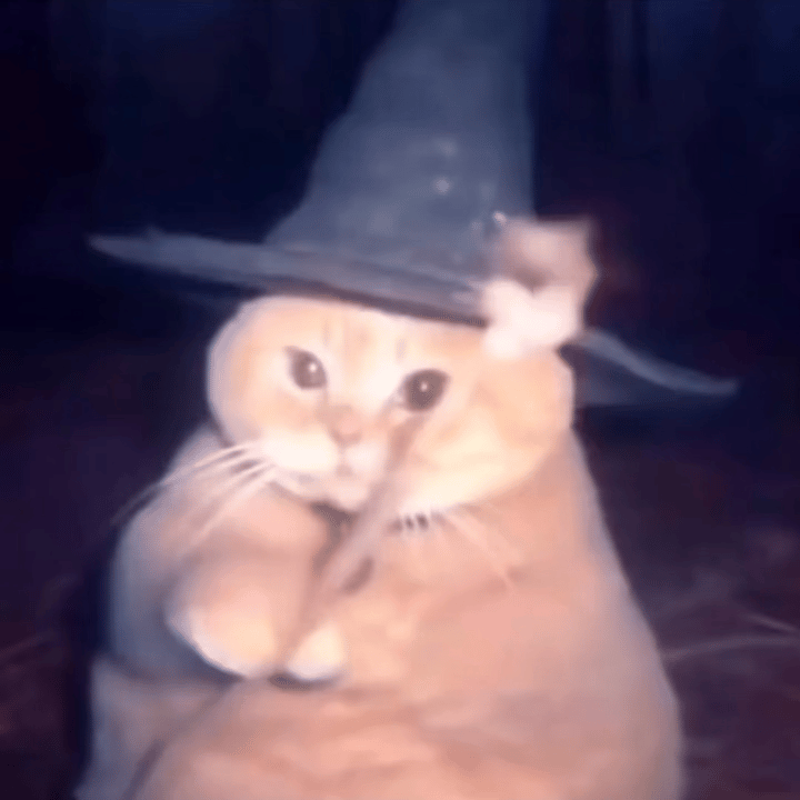 请接收魔法小猫带给你的好运!!🪄✨ ​​​