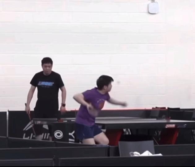 现在老秋裤在莎身边唯二的作用是搞笑 