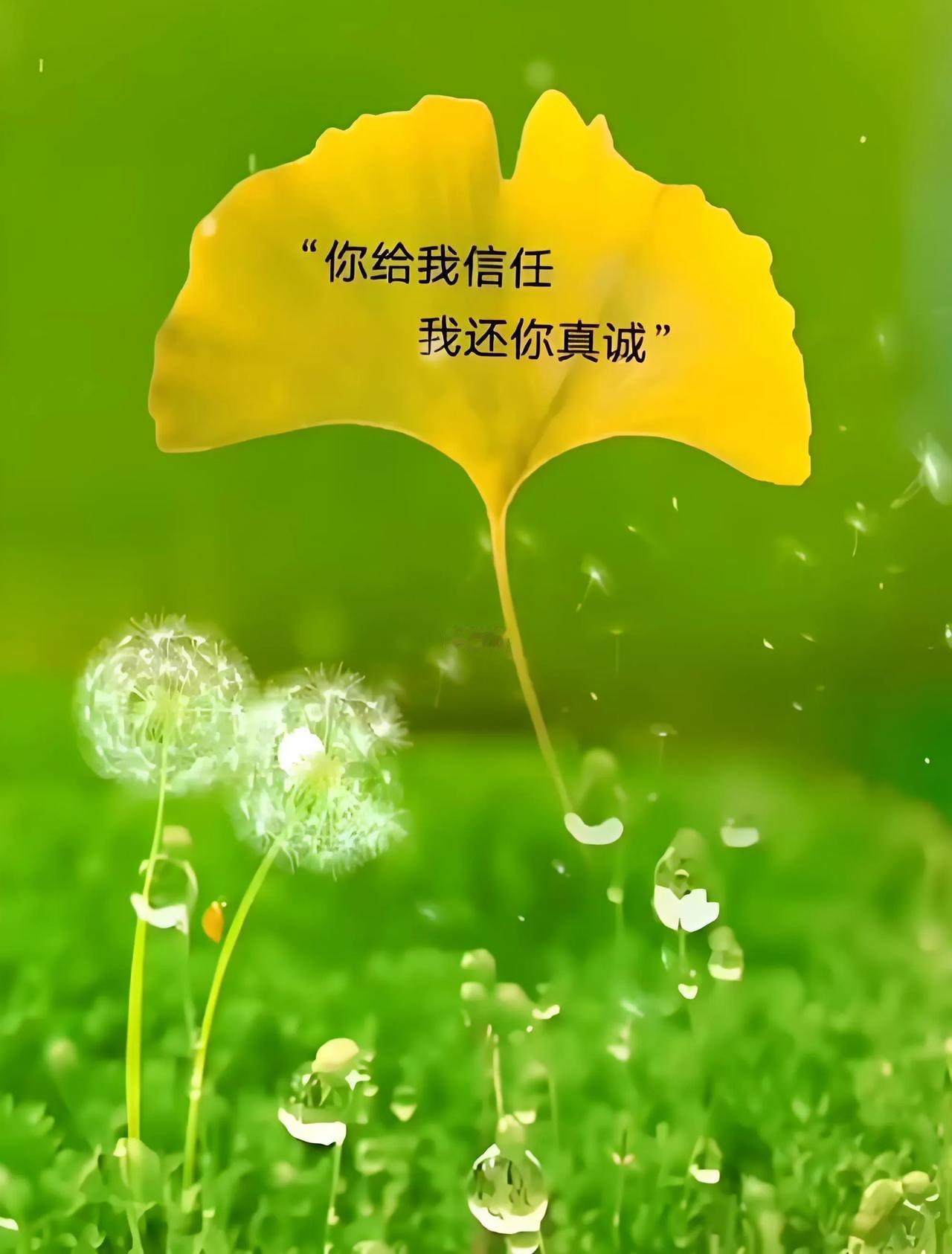 社会进步了，人与人之间的信任却没有了。昨天同学女儿结婚去吃席，随礼时我发现一个现