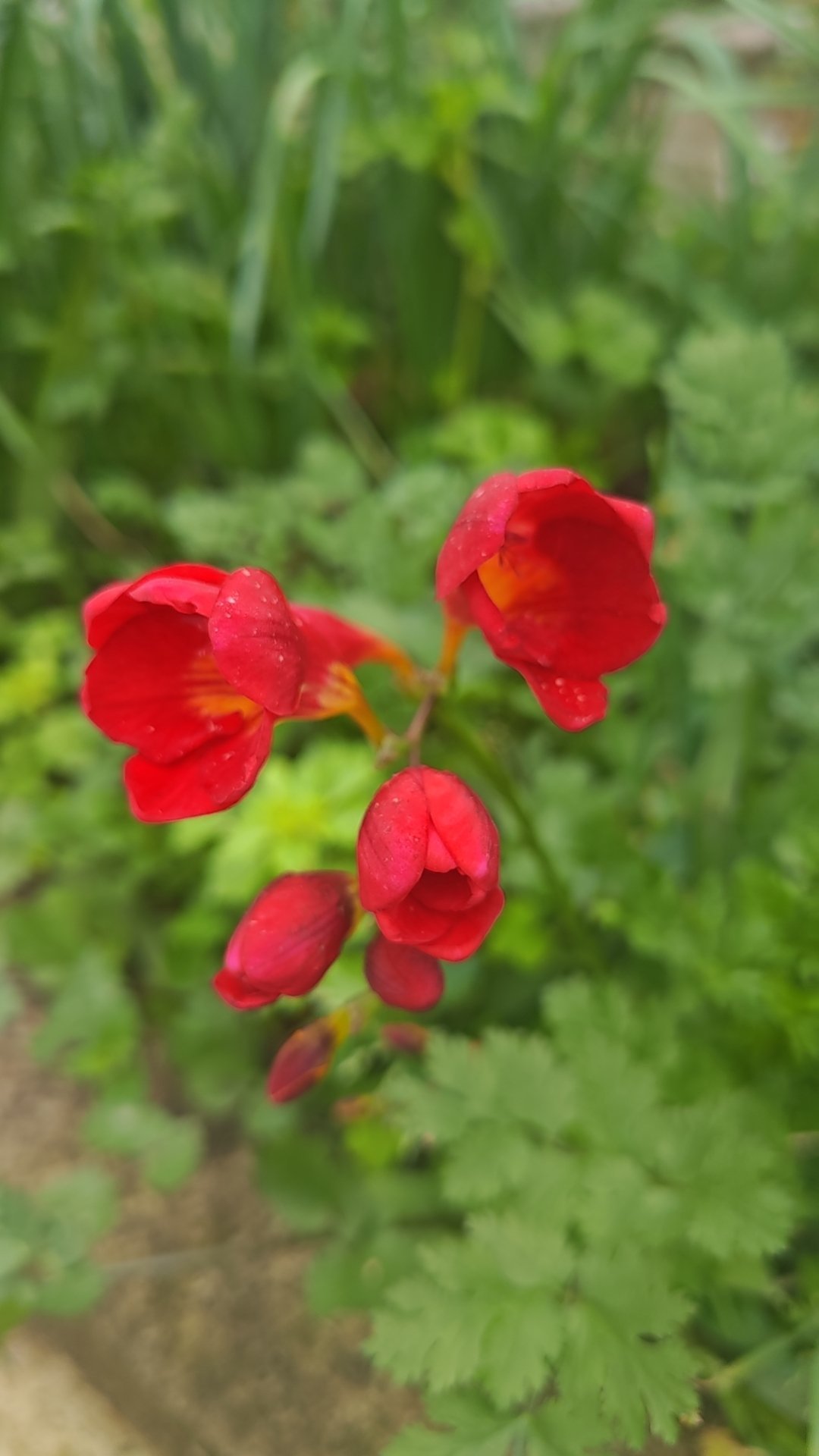 都是男友只有黄景瑜是女婿大家偏爱把黄景瑜当“女婿”，真的是因为他整个人太正向了。