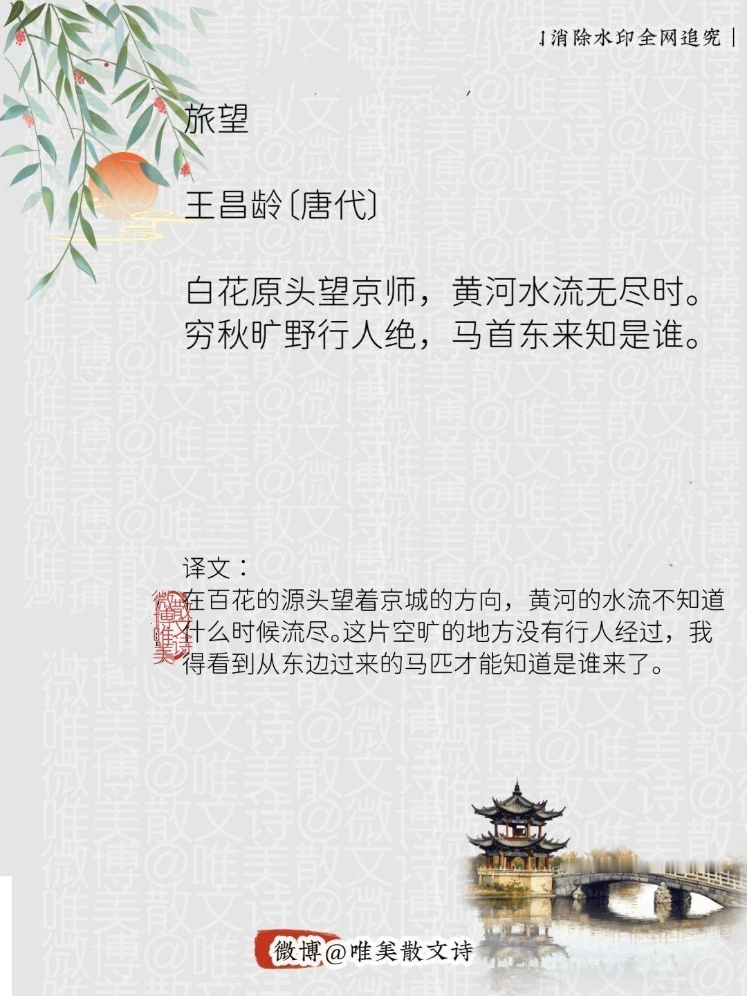“旅望｜唐代”每天一首古诗词腹有诗书气自华 