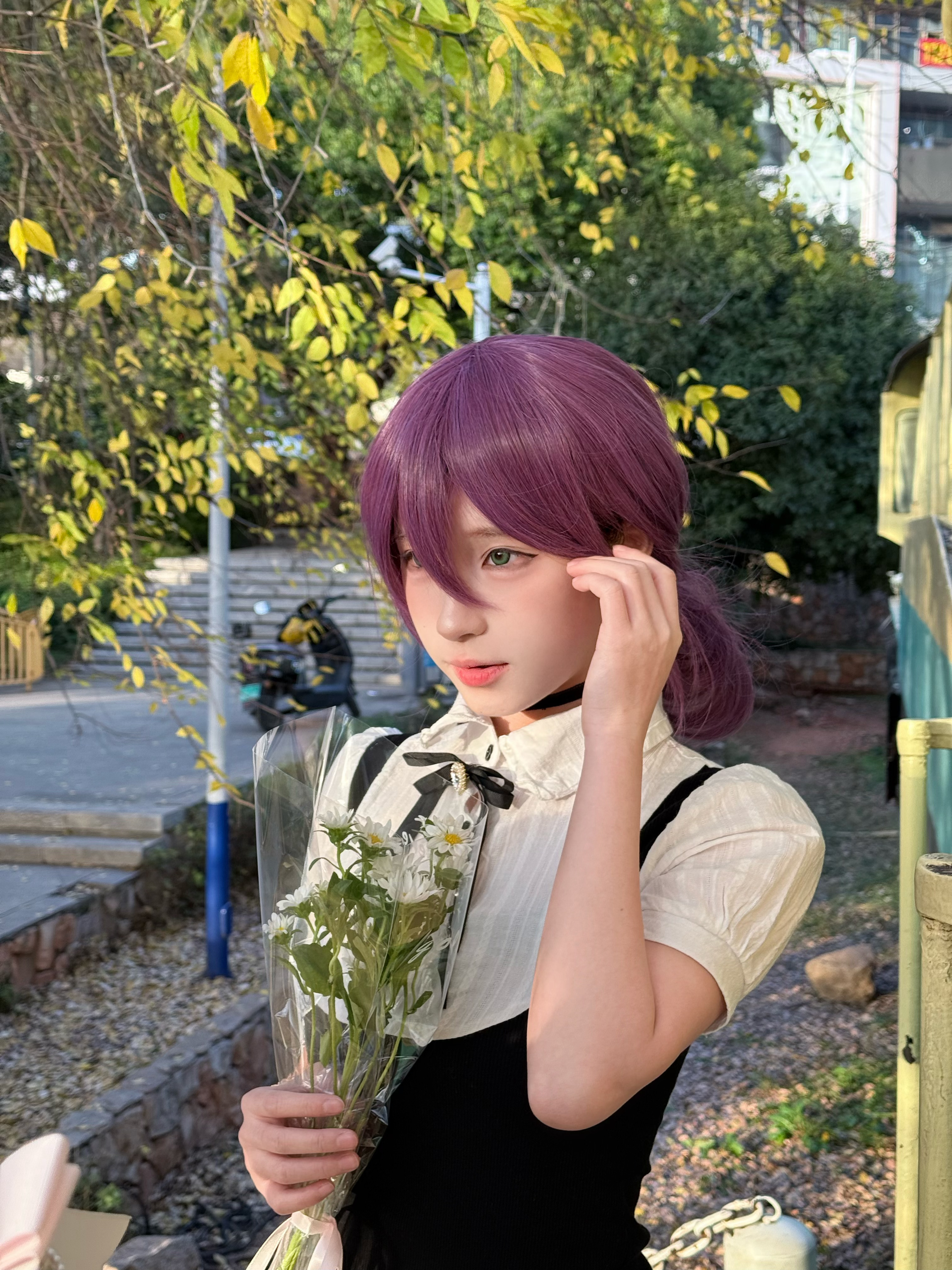 深秋 落日 雏菊 约会 