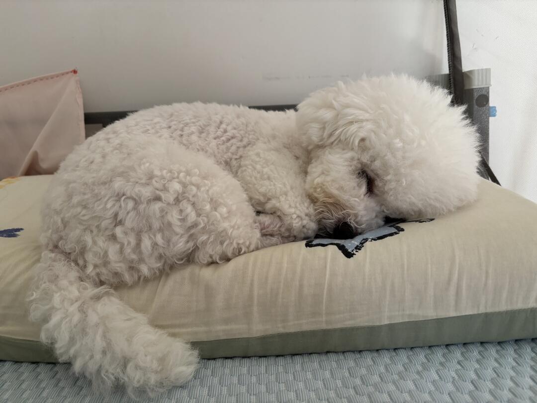 不怪得我枕头上有淡淡的脚臭味