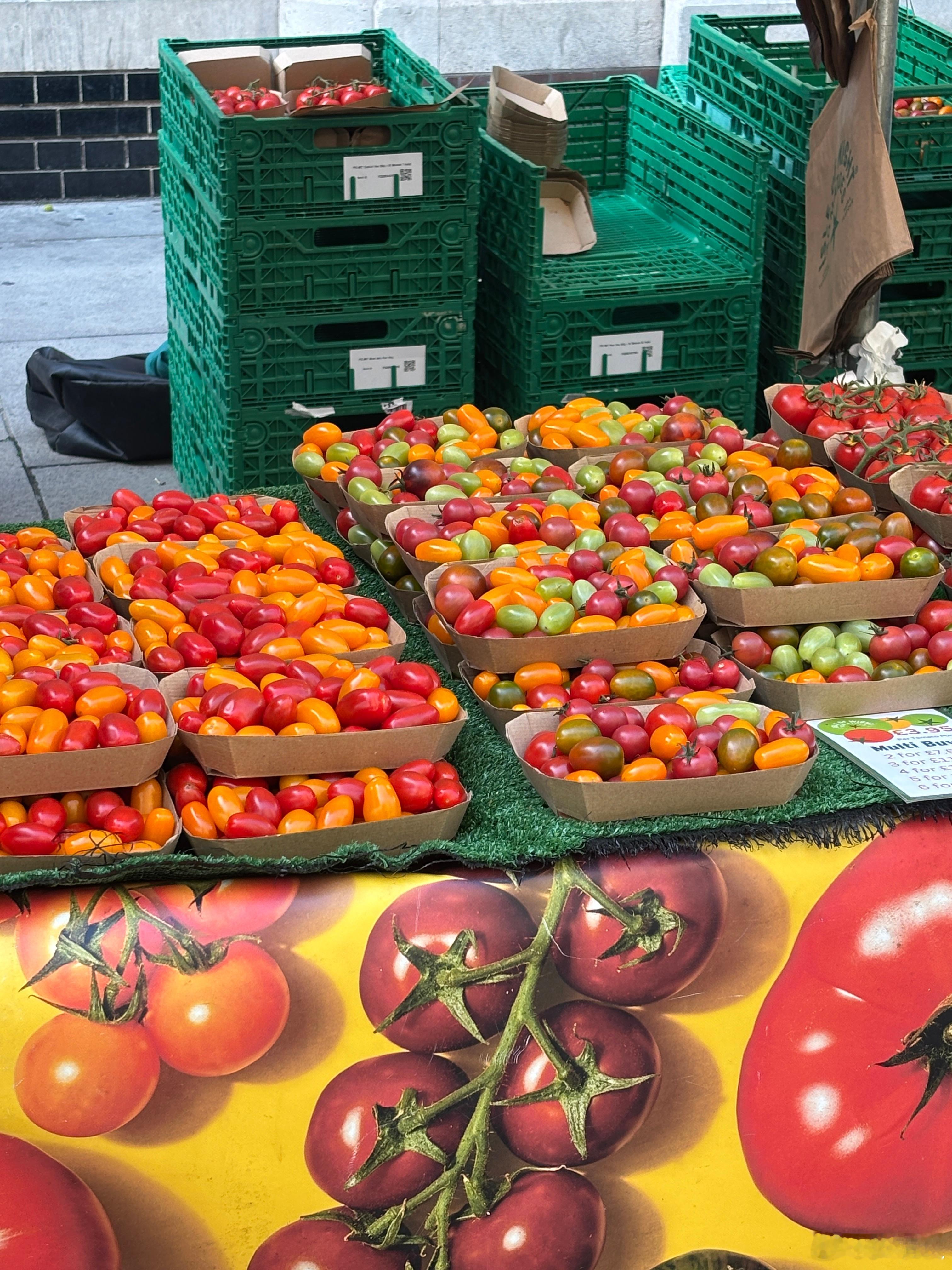 五颜六色的番茄🍅 ​​​