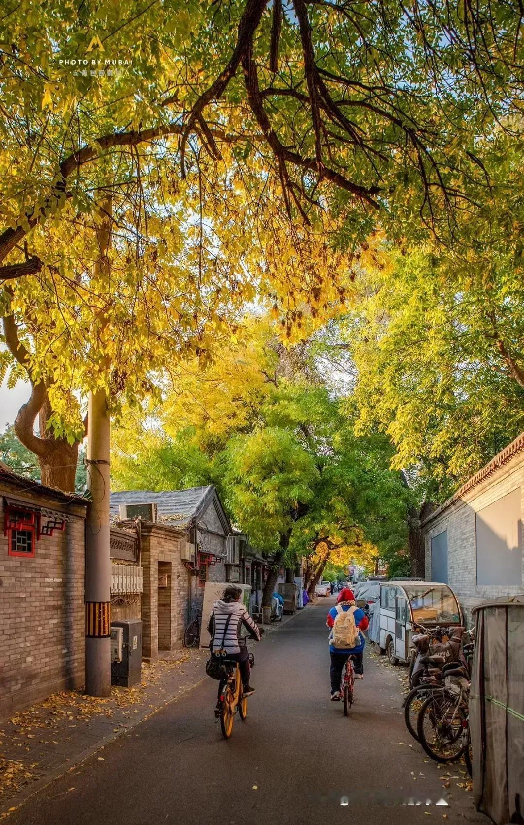 很久不联系的大学同学拉我进群，原来是她兼职开了个微商群。那就支持一下吧，买了一盒