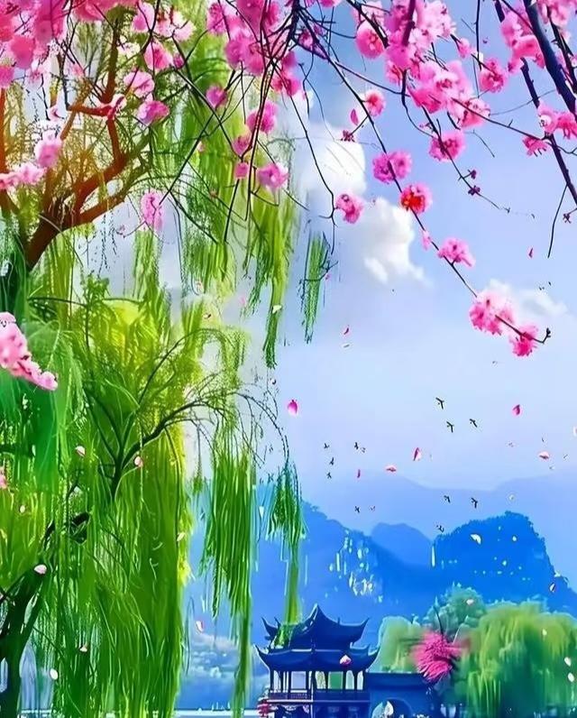 晒图大赛春日青天