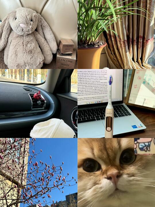 清华研二｜卷人躺平回家当老鼠人的一天