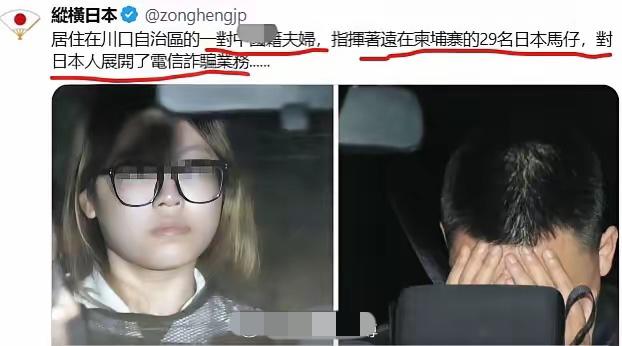 日本警方逮捕一个骗日本人的电诈团伙，背后老板还是中国人。男的王少凡职业医生、女滴