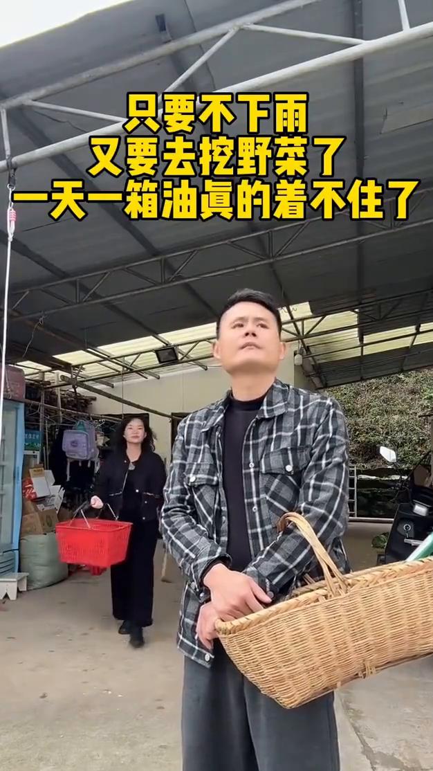只要不下雨，又要去挖野菜了，一天一箱油真的着不住了。