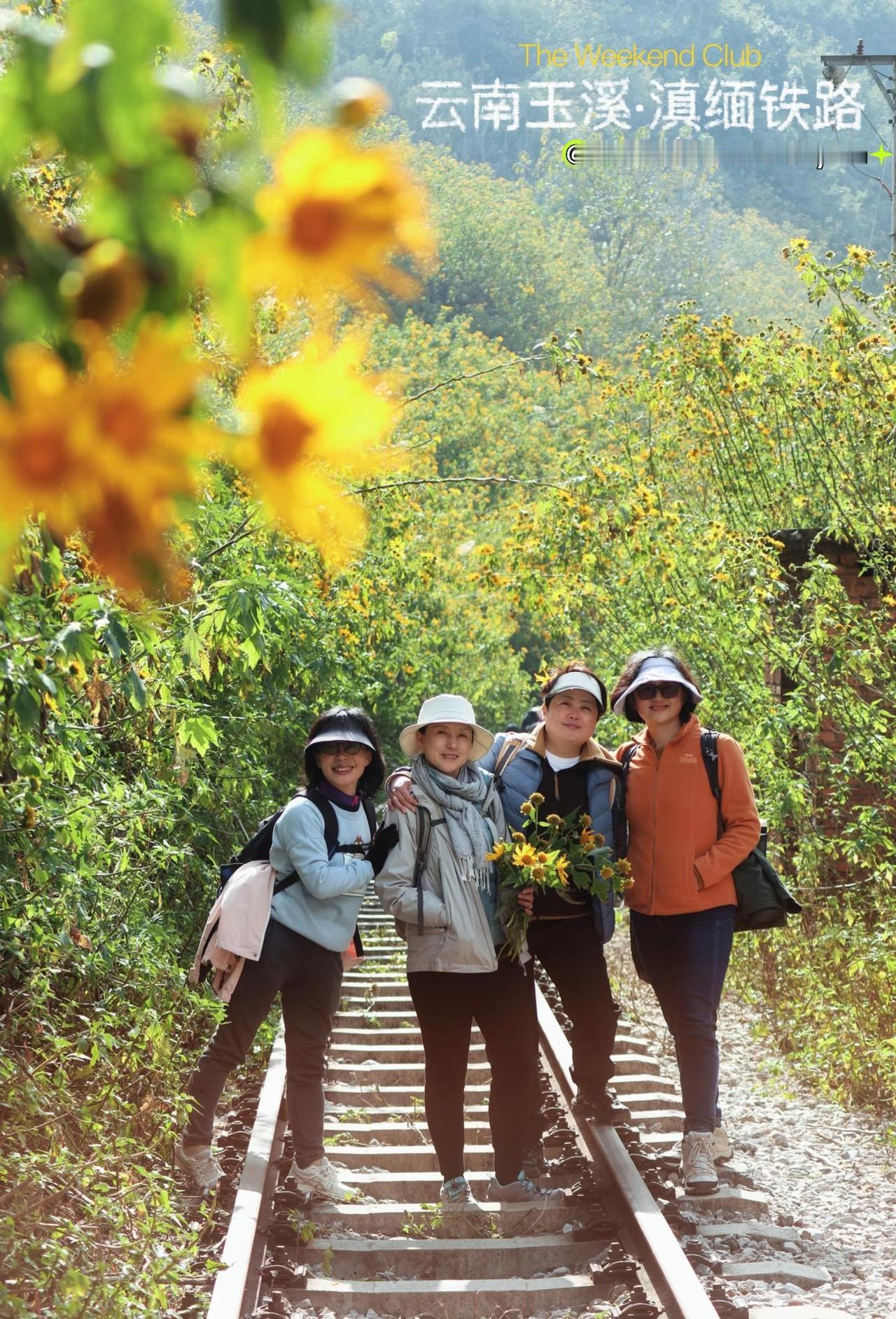 『玉溪周末徒步』滇越铁路|金色隧道
🌼滇越铁路“黄金15km”🌻
滴水→徐家