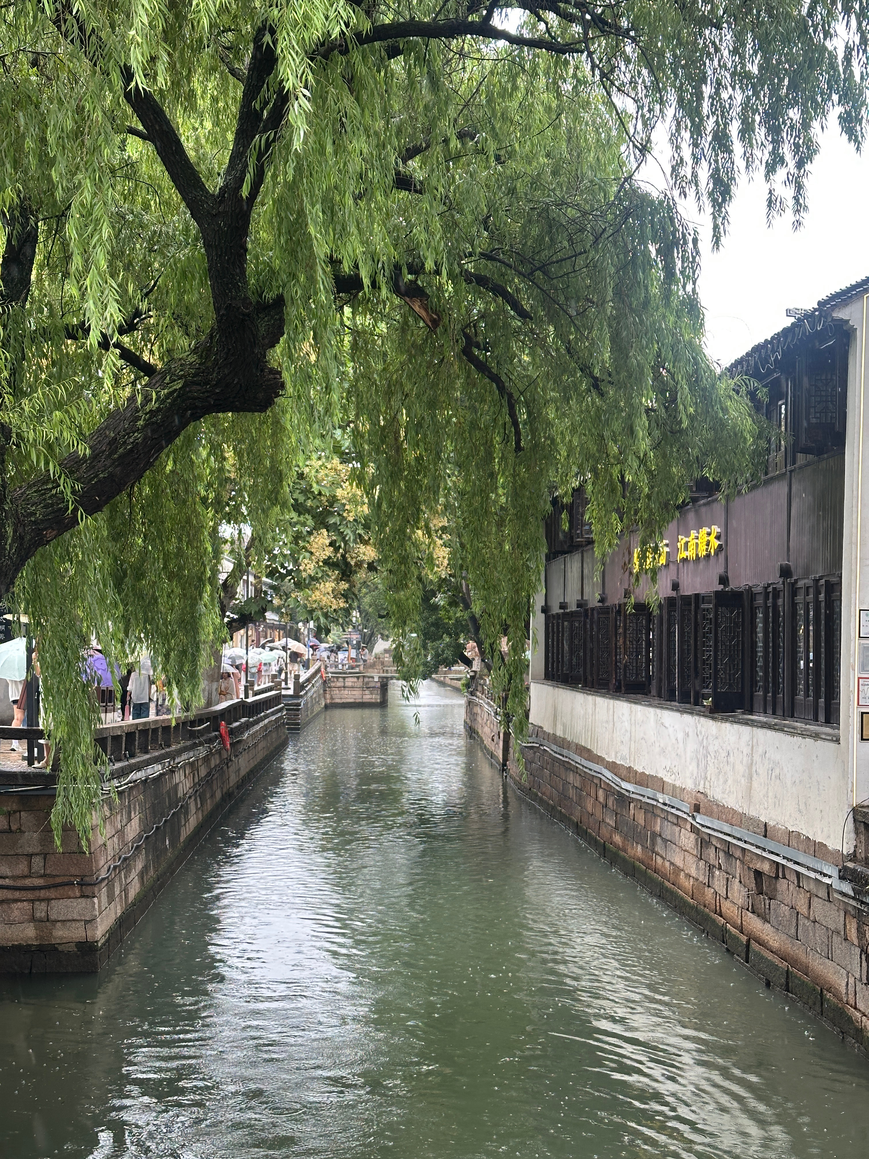 烟雨雨雨雨雨雨雨雨江南 