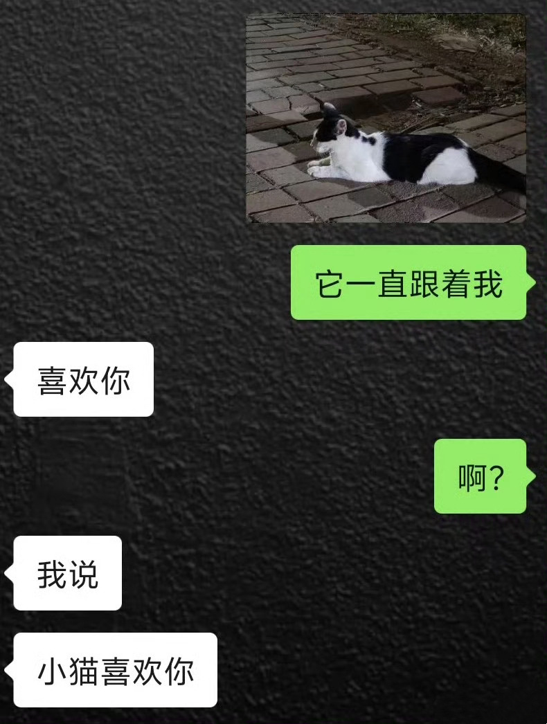 啊啊啊啊啊该怎么回复crush ！！！ 