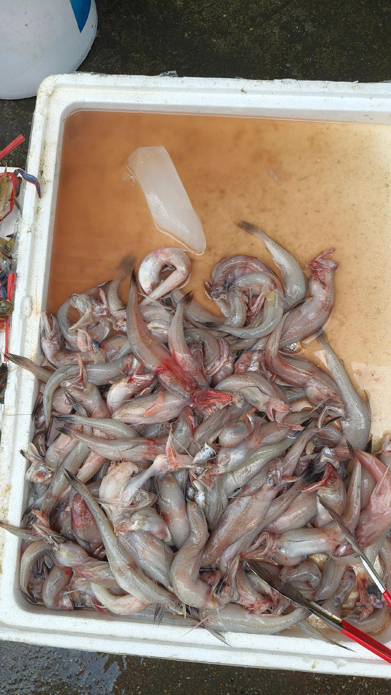 海鲜水产 海鲜 海鲜自由 吃货 在这里遇见中国美