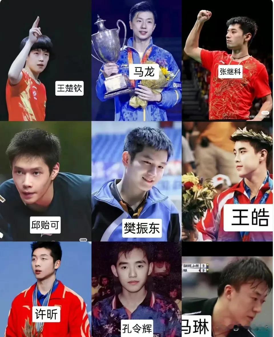 看图片国乒男队九人，你更喜欢谁？

在选择国乒男选手这一议题上，每位选手都展现出