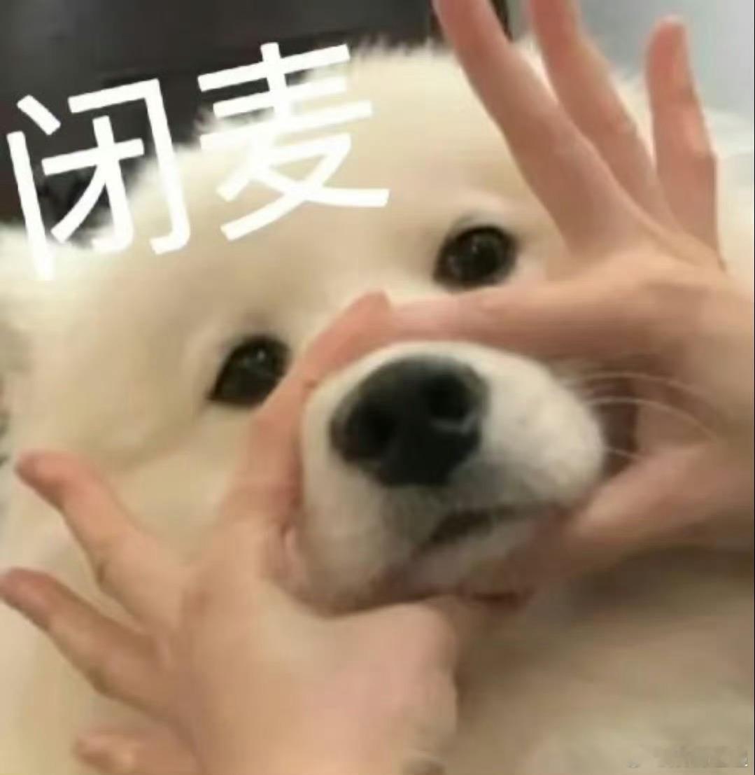 吴泽林请谨言慎行森林进化论2025 一秒触发刘小怂“狩猎”本能！泽林疯狂找补的样