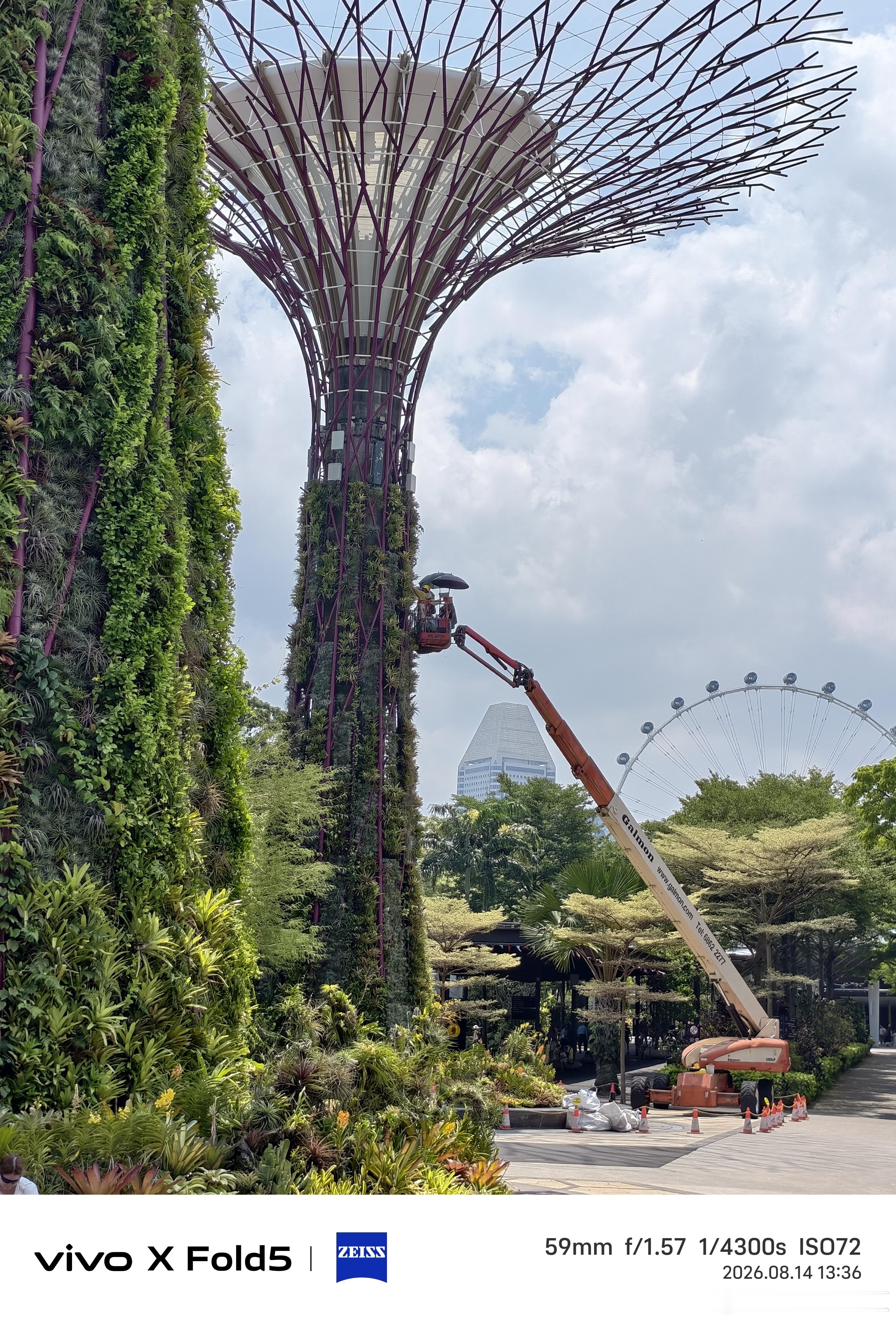 新加坡的滨海湾花园真美！🇸🇬2026V粉嘉年华vivovivo相册里的高光时