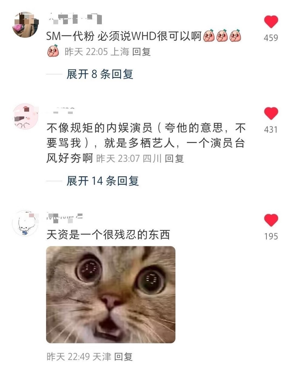 王鹤棣王鹤棣 这个圈外路人帖子，看爽了！干演员优秀，舞台也这么优秀！ 